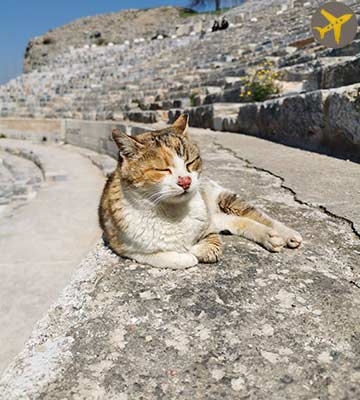 PRIVATE EPHESUS PAMUKKALE TOUR 2 DAYS BY FLIGHT